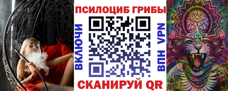 KRAKEN зеркало  Крым  Галлюциногенные грибы Magic Shrooms 